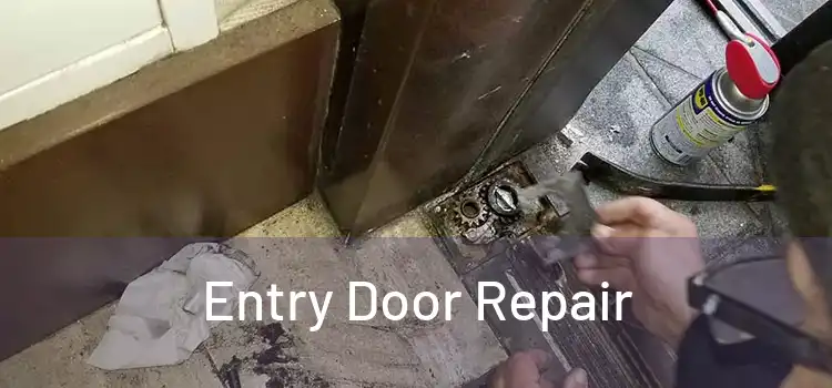 Entry Door Repair