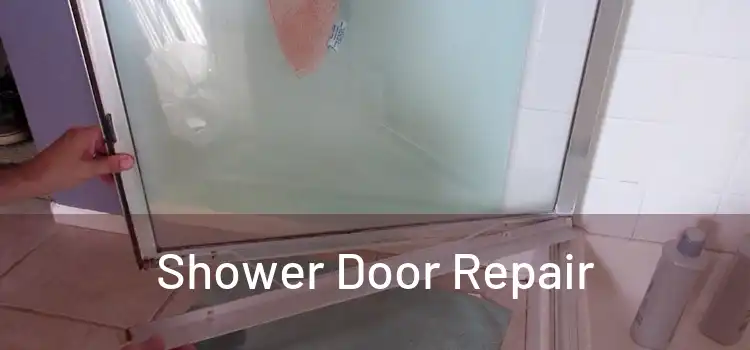 Shower Door Repair
